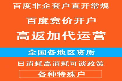 科技公司SEM优化师的日常与挑战——以某科技巨头为例
